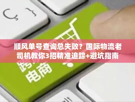 顺风单号查询总失败？国际物流老司机教你3招精准追踪+避坑指南
