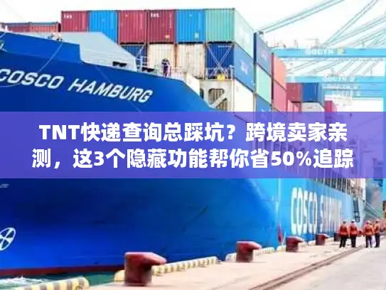 TNT快递查询总踩坑？跨境卖家亲测，这3个隐藏功能帮你省50%追踪时间