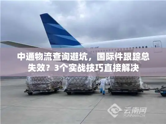 中通物流查询避坑，国际件跟踪总失效？3个实战技巧直接解决
