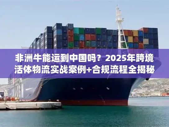非洲牛能运到中国吗？2025年跨境活体物流实战案例+合规流程全揭秘