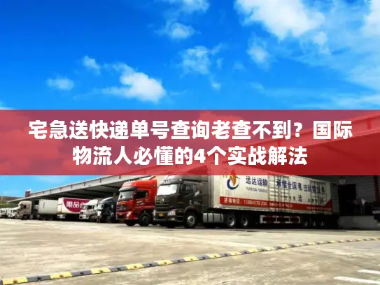 宅急送快递单号查询老查不到？国际物流人必懂的4个实战解法