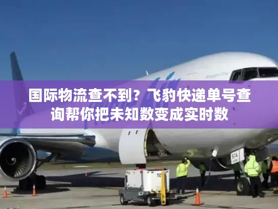 国际物流查不到？飞豹快递单号查询帮你把未知数变成实时数