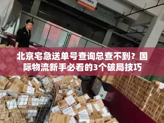 北京宅急送单号查询总查不到？国际物流新手必看的3个破局技巧