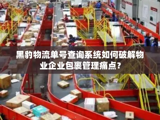 黑豹物流单号查询系统如何破解物业企业包裹管理痛点？
