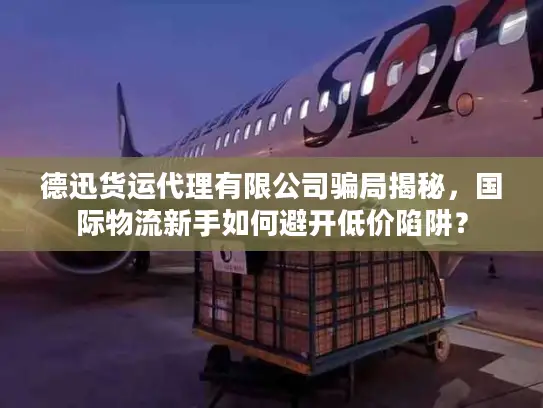 德迅货运代理有限公司骗局揭秘，国际物流新手如何避开低价陷阱？