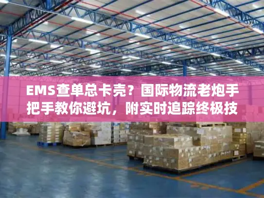 EMS查单总卡壳？国际物流老炮手把手教你避坑，附实时追踪终极技巧