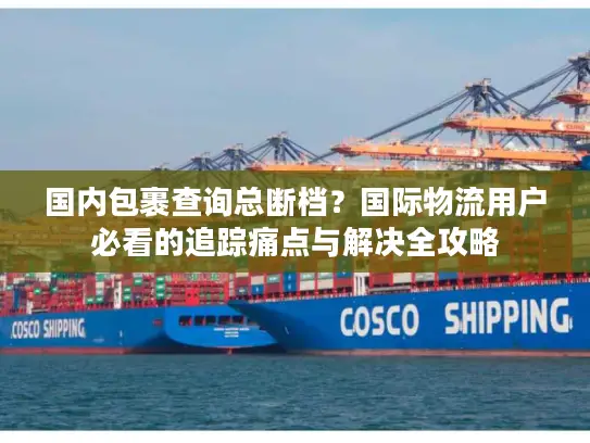 国内包裹查询总断档？国际物流用户必看的追踪痛点与解决全攻略