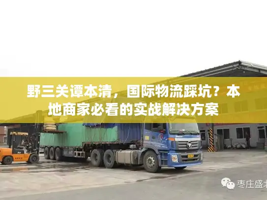 野三关谭本清，国际物流踩坑？本地商家必看的实战解决方案