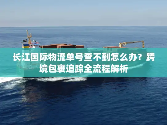 长江国际物流单号查不到怎么办？跨境包裹追踪全流程解析