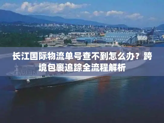 长江国际物流单号查不到怎么办？跨境包裹追踪全流程解析