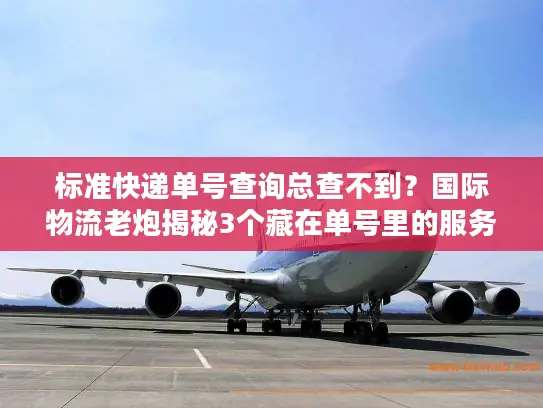 标准快递单号查询总查不到？国际物流老炮揭秘3个藏在单号里的服务真相