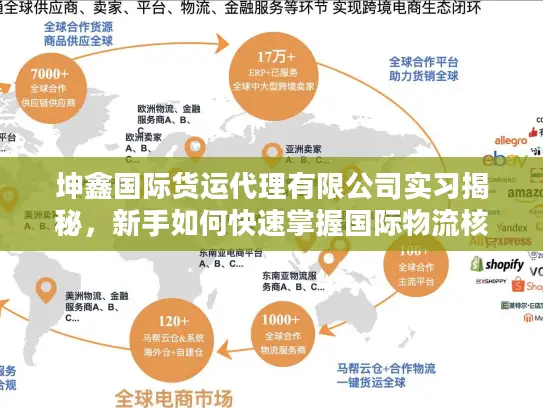 坤鑫国际货运代理有限公司实习揭秘，新手如何快速掌握国际物流核心服务？