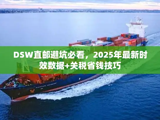 DSW直邮避坑必看，2025年最新时效数据+关税省钱技巧