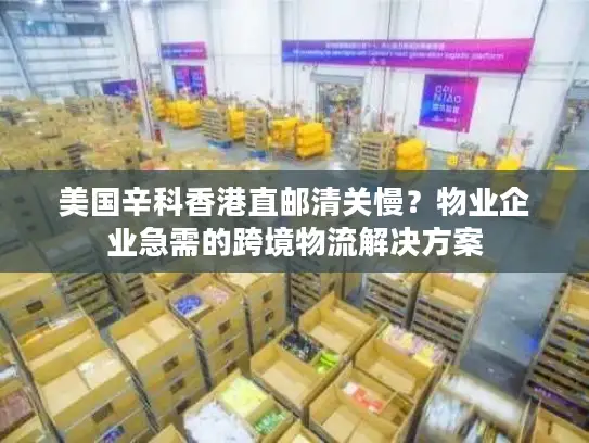 美国辛科香港直邮清关慢？物业企业急需的跨境物流解决方案