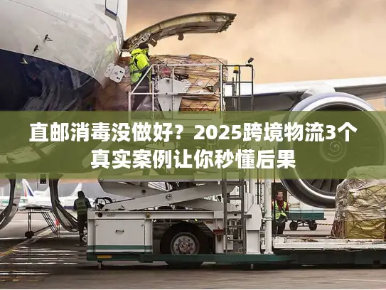 直邮消毒没做好？2025跨境物流3个真实案例让你秒懂后果