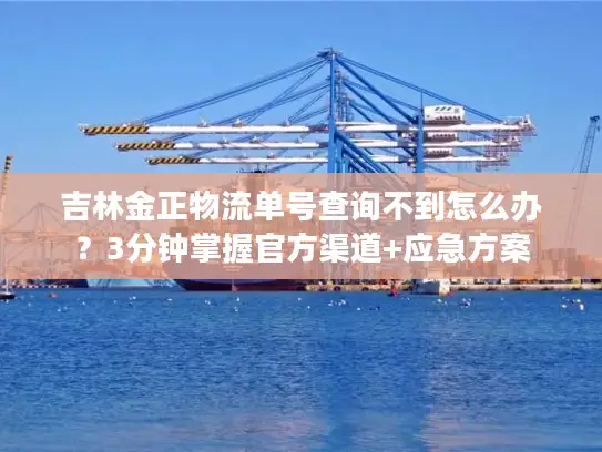 吉林金正物流单号查询不到怎么办？3分钟掌握官方渠道+应急方案