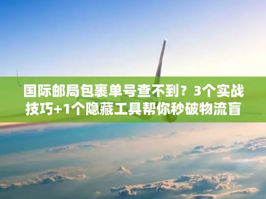 国际邮局包裹单号查不到？3个实战技巧+1个隐藏工具帮你秒破物流盲区