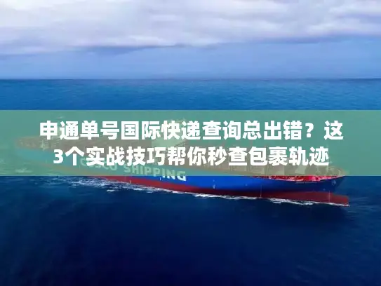 申通单号国际快递查询总出错？这3个实战技巧帮你秒查包裹轨迹