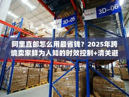 阿里直邮怎么用最省钱？2025年跨境卖家鲜为人知的时效控制+清关避坑实战技巧