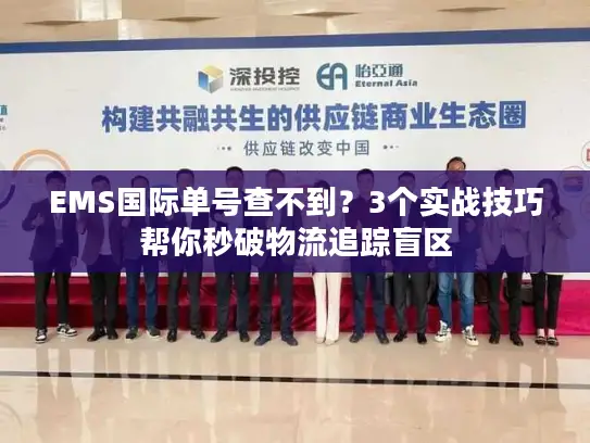 EMS国际单号查不到？3个实战技巧帮你秒破物流追踪盲区