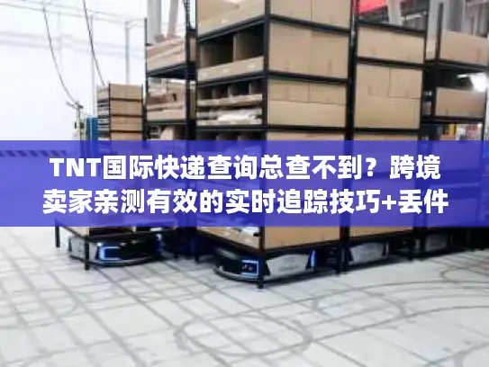TNT国际快递查询总查不到？跨境卖家亲测有效的实时追踪技巧+丢件急救方案