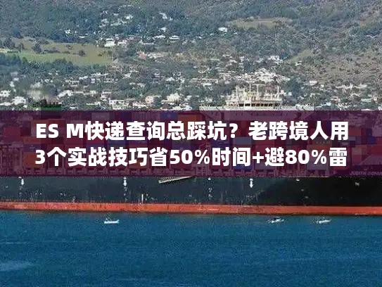 ES M快递查询总踩坑？老跨境人用3个实战技巧省50%时间+避80%雷