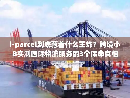 i-parcel到底藏着什么王炸？跨境小B实测国际物流服务的3个保命真相