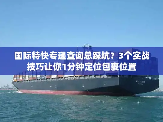 国际特快专递查询总踩坑？3个实战技巧让你1分钟定位包裹位置