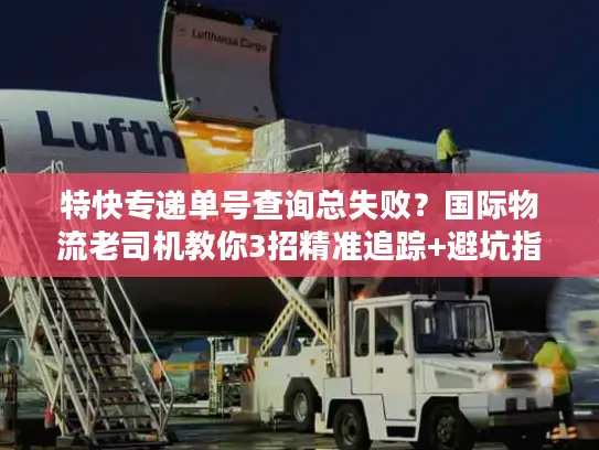 特快专递单号查询总失败？国际物流老司机教你3招精准追踪+避坑指南