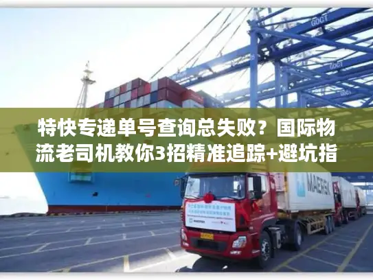 特快专递单号查询总失败？国际物流老司机教你3招精准追踪+避坑指南