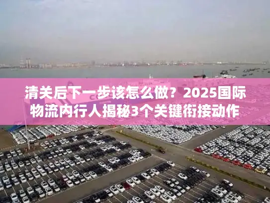清关后下一步该怎么做？2025国际物流内行人揭秘3个关键衔接动作