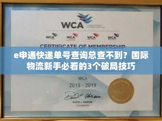 e申通快递单号查询总查不到？国际物流新手必看的3个破局技巧