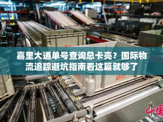 嘉里大通单号查询总卡壳？国际物流追踪避坑指南看这篇就够了