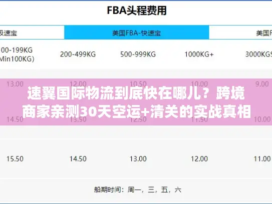 速翼国际物流到底快在哪儿？跨境商家亲测30天空运+清关的实战真相