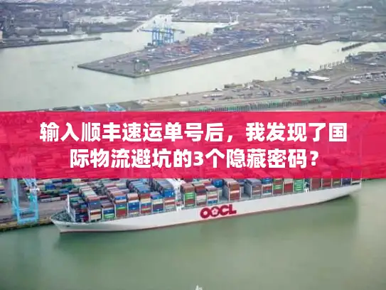 输入顺丰速运单号后，我发现了国际物流避坑的3个隐藏密码？