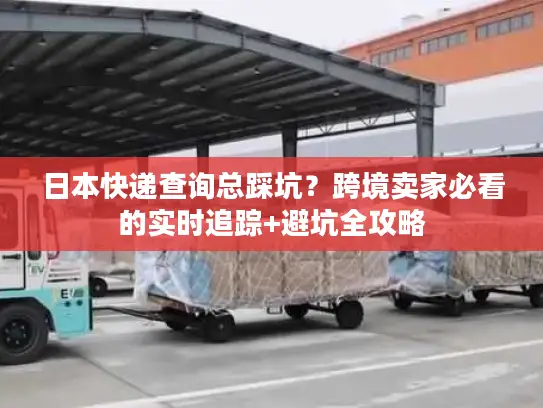 日本快递查询总踩坑？跨境卖家必看的实时追踪+避坑全攻略