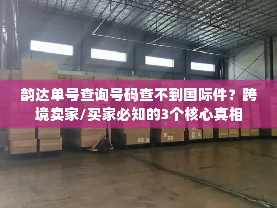 韵达单号查询号码查不到国际件？跨境卖家/买家必知的3个核心真相