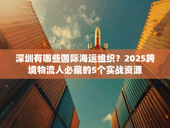 深圳有哪些国际海运组织？2025跨境物流人必藏的5个实战资源