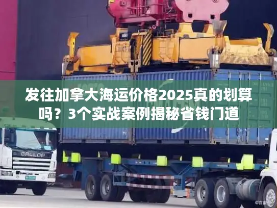发往加拿大海运价格2025真的划算吗？3个实战案例揭秘省钱门道