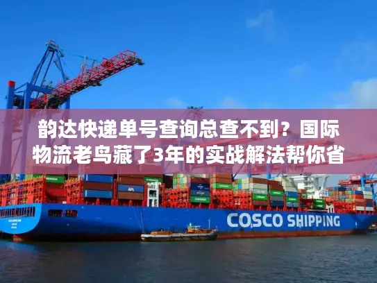 韵达快递单号查询总查不到？国际物流老鸟藏了3年的实战解法帮你省80%时间