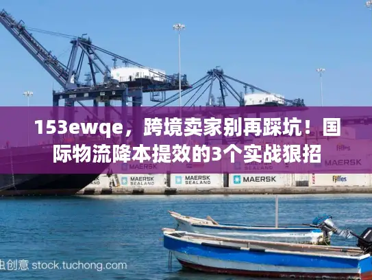 153ewqe，跨境卖家别再踩坑！国际物流降本提效的3个实战狠招