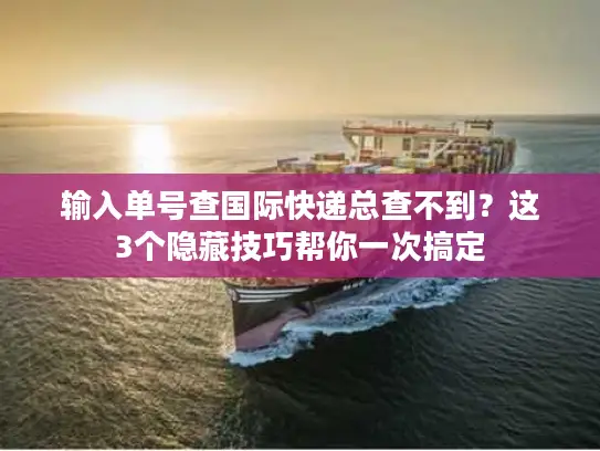 输入单号查国际快递总查不到？这3个隐藏技巧帮你一次搞定