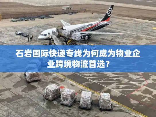 石岩国际快递专线为何成为物业企业跨境物流首选？