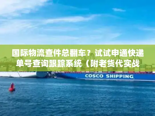 国际物流查件总翻车？试试申通快递单号查询跟踪系统（附老货代实战操作）