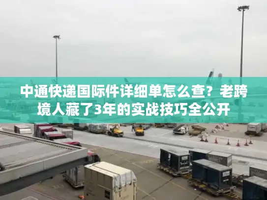 中通快递国际件详细单怎么查？老跨境人藏了3年的实战技巧全公开
