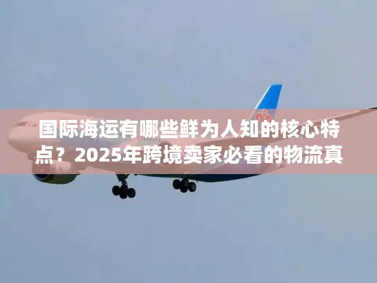 国际海运有哪些鲜为人知的核心特点？2025年跨境卖家必看的物流真相