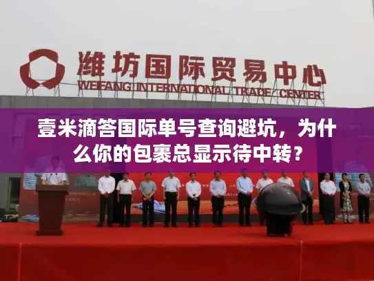 壹米滴答国际单号查询避坑，为什么你的包裹总显示待中转？