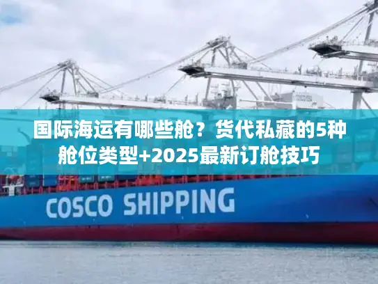 国际海运有哪些舱？货代私藏的5种舱位类型+2025最新订舱技巧