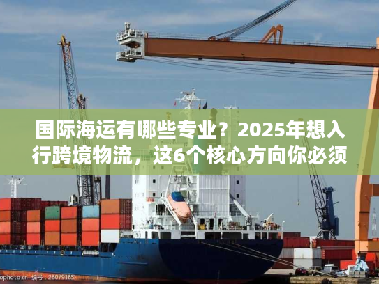 国际海运有哪些专业？2025年想入行跨境物流，这6个核心方向你必须了解！