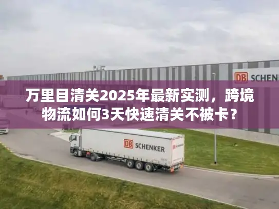 万里目清关2025年最新实测，跨境物流如何3天快速清关不被卡？